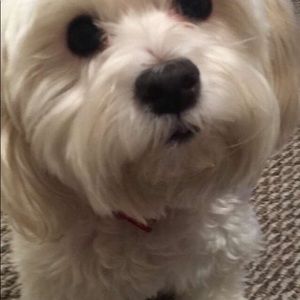 Meet your Posher, Veronica